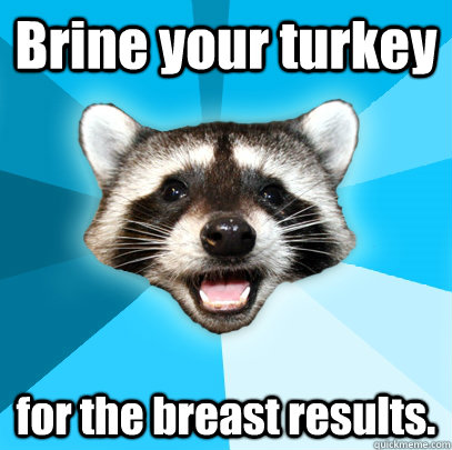 Brine your turkey for the breast results. - Brine your turkey for the breast results.  Lame Pun Coon