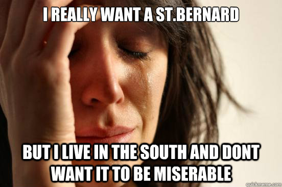 I really want a st.bernard But i live in the south and dont want it to be miserable  First World Problems