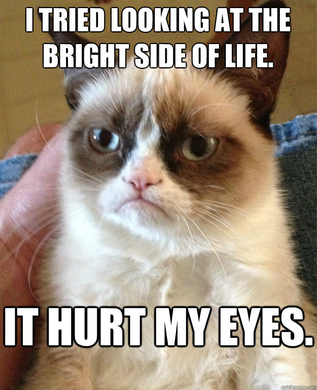 I tried looking at the bright side of life. It hurt my eyes.  Grumpy Cat