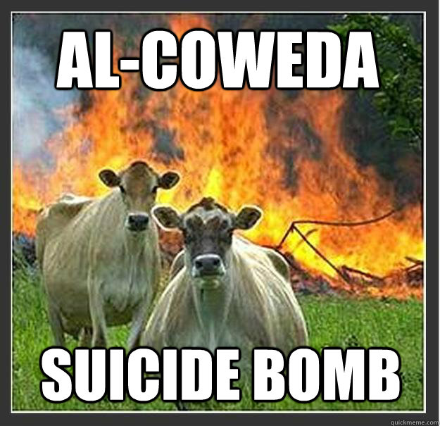 Al-COWEDA SUICIDE BOMB  Evil cows