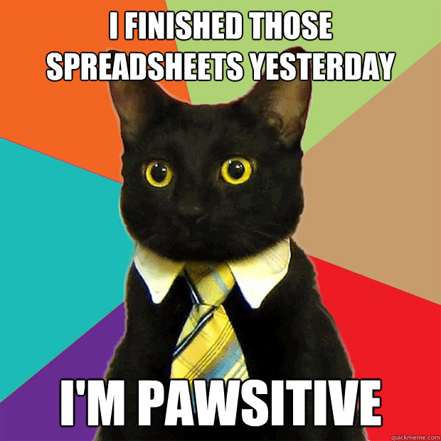 I finished those spreadsheets yesterday I'm pawsitive  Business Cat