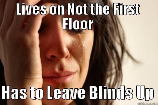 LIVES ON NOT THE FIRST FLOOR  HAS TO LEAVE BLINDS UP First World Problems