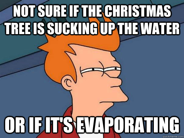 Not sure if the christmas tree is sucking up the water or if it's evaporating  Futurama Fry