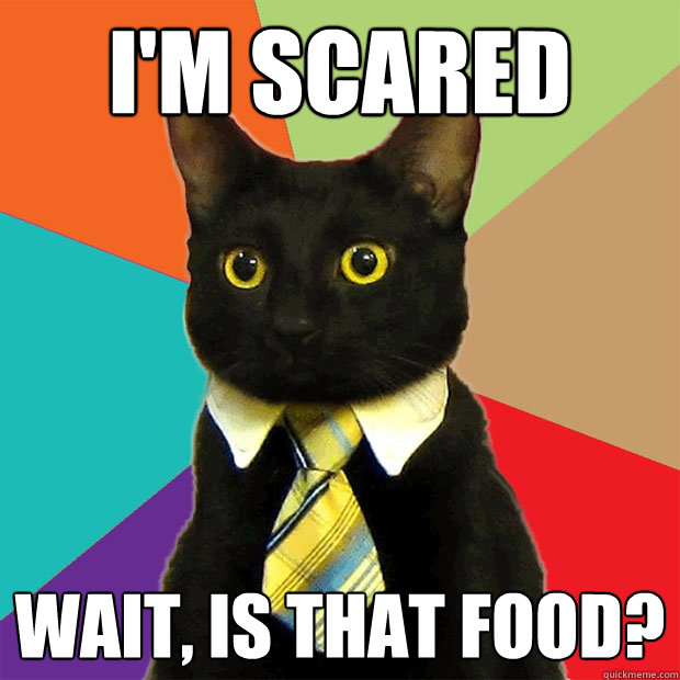 i'm scared wait, is that food?  Business Cat