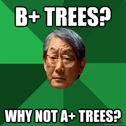 B+ trees? Why not A+ trees?   High Expectations Asian Father