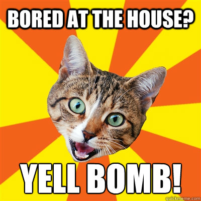 Bored at the house? Yell bomb!  Bad Advice Cat