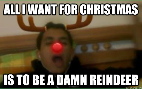 All i want for Christmas is to be a damn reindeer  Indian Reindeer