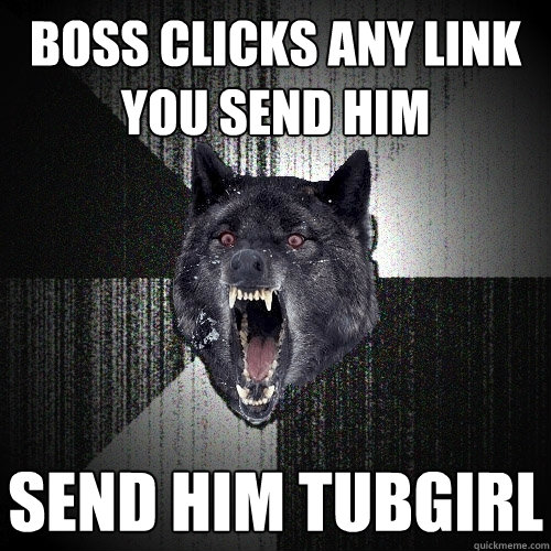 boss clicks any link you send him send him tubgirl  Insanity Wolf