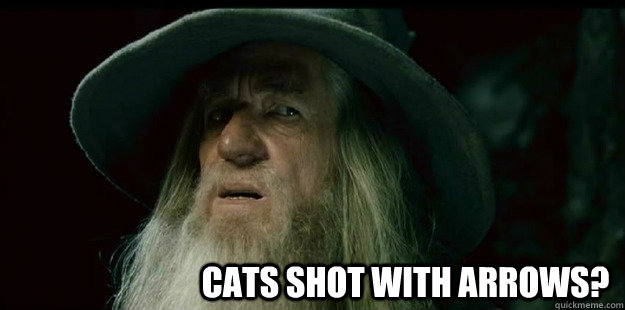                              Cats shot with arrows?  I have no memory Gandalf