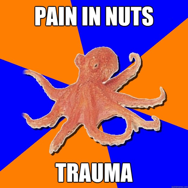 Pain in nuts Trauma - Pain in nuts Trauma  Online Diagnosis Octopus