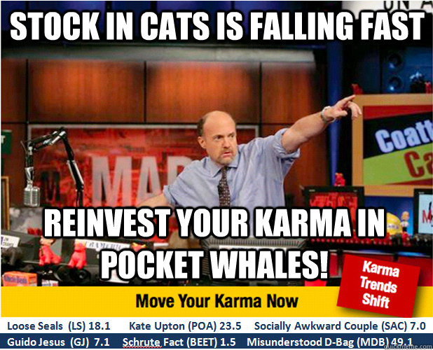 stock in cats is falling fast reinvest your karma in pocket whales!  Jim Kramer with updated ticker