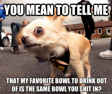 You mean to tell me That my favorite bowl to drink out of is the same bowl you shit in?  Skeptical Dog