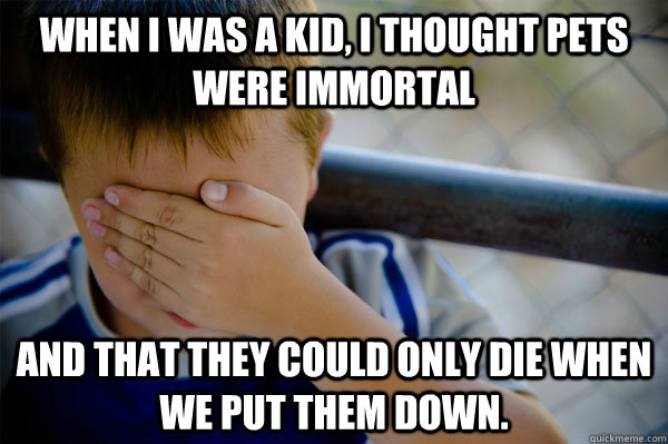 When I was a kid, I thought pets were immortal and that they could only die when we put them down.  Confession kid