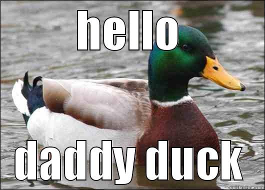 HELLO DADDY DUCK Actual Advice Mallard