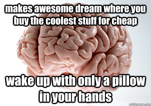 makes awesome dream where you buy the coolest stuff for cheap wake up with only a pillow in your hands  Scumbag Brain