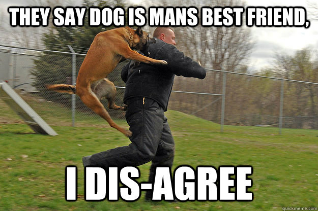 They say dog is mans best friend, i dis-agree - They say dog is mans best friend, i dis-agree  Misc