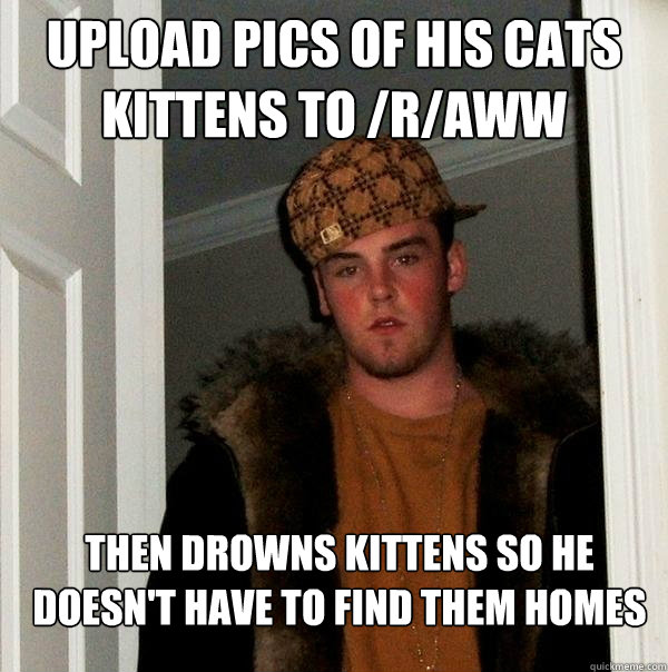 Upload pics of his cats kittens to /r/aww Then drowns kittens so he doesn't have to find them homes  Scumbag Steve