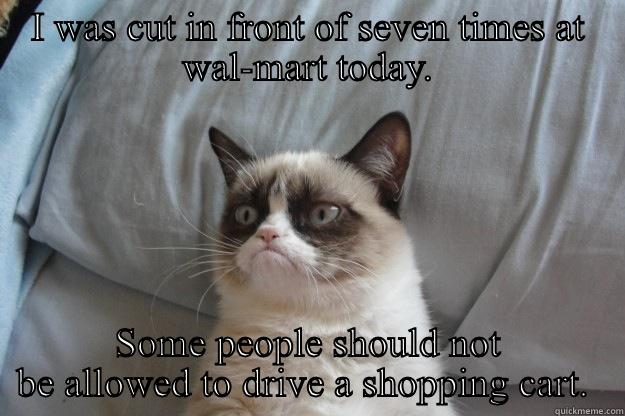 I WAS CUT IN FRONT OF SEVEN TIMES AT WAL-MART TODAY. SOME PEOPLE SHOULD NOT BE ALLOWED TO DRIVE A SHOPPING CART.  Grumpy Cat