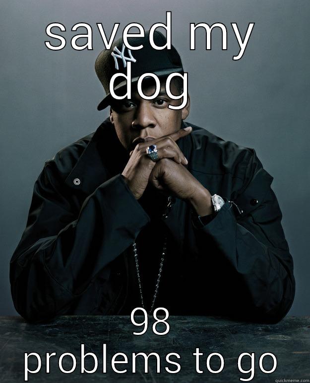 saved my dog. 98 problems to go - SAVED MY DOG 98 PROBLEMS TO GO Jay Z Problems