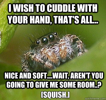 I wish to cuddle with your hand, that's all... Nice and soft....wait, aren't you going to give me some room..? [Squish.]  Misunderstood Spider