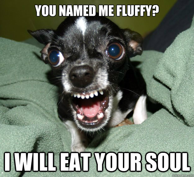 you NAMED ME FLUFFY? I WILL EAT YOUR SOUL  