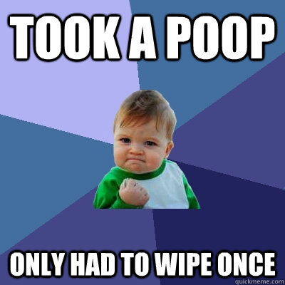 took a poop only had to wipe once  Success Kid