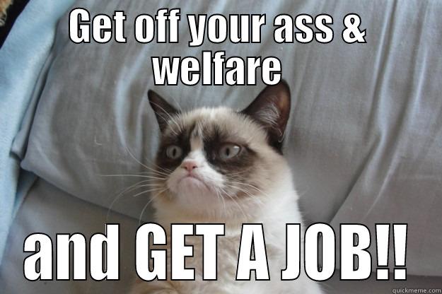 Fed up - GET OFF YOUR ASS & WELFARE AND GET A JOB!! Grumpy Cat