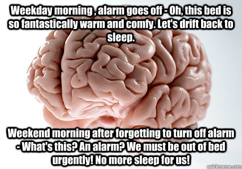 Weekday morning , alarm goes off - Oh, this bed is so fantastically warm and comfy. Let's drift back to sleep. Weekend morning after forgetting to turn off alarm - What's this? An alarm? We must be out of bed urgently! No more sleep for us!  Scumbag Brain