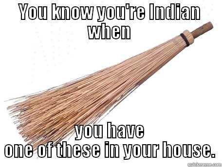 indain meme - YOU KNOW YOU'RE INDIAN WHEN YOU HAVE ONE OF THESE IN YOUR HOUSE. Misc