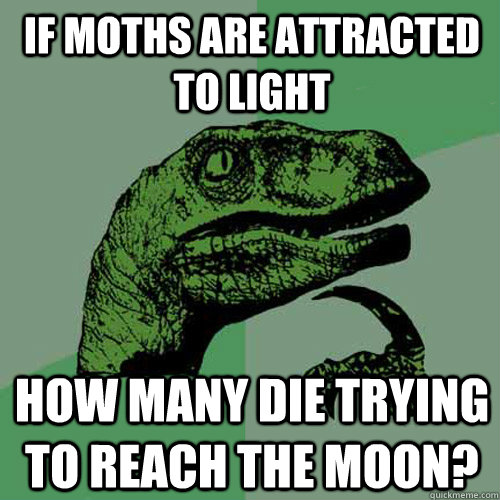 If moths are attracted to light how many die trying to reach the moon?  Philosoraptor