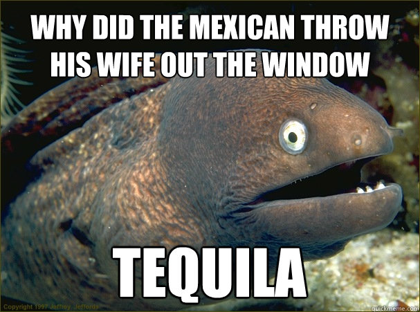 Why did the mexican throw his wife out the window tequila - Why did the mexican throw his wife out the window tequila  Bad Joke Eel