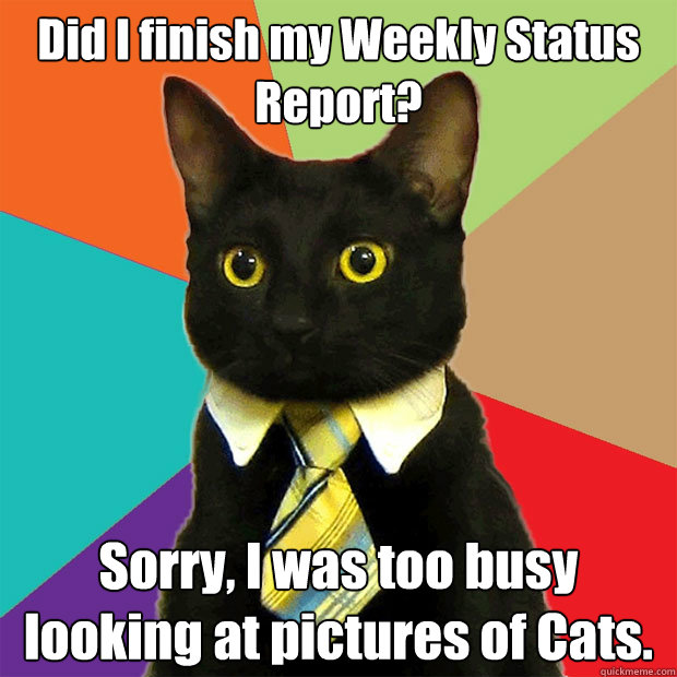 Did I finish my Weekly Status Report? Sorry, I was too busy looking at pictures of Cats.   Business Cat