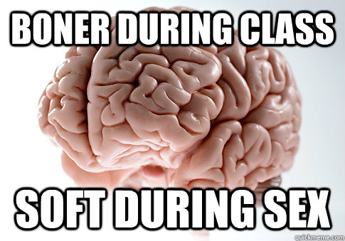 BONER DURING CLASS SOFT DURING SEX   Scumbag Brain