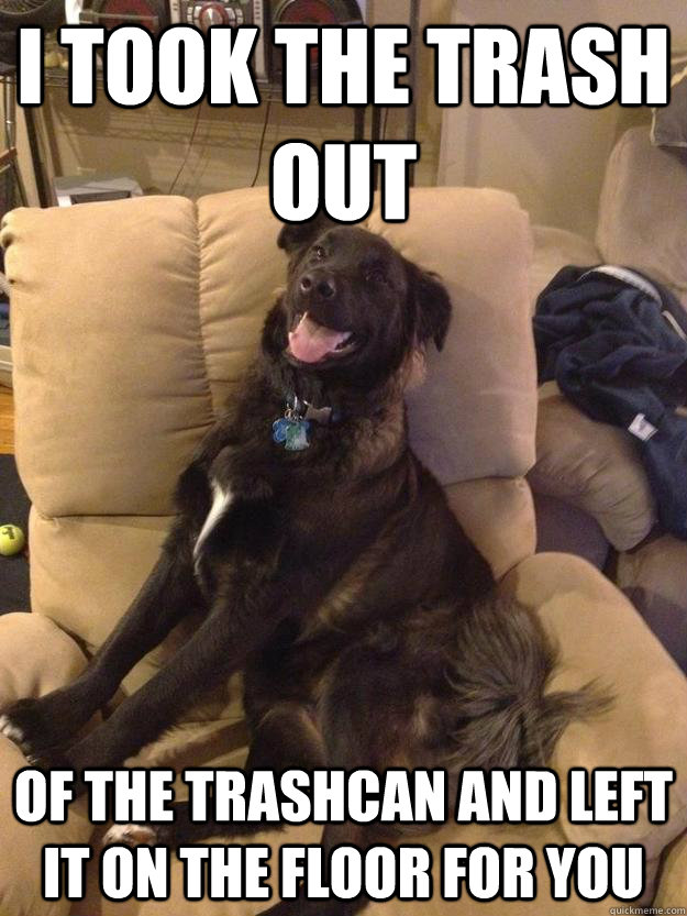 i took the trash out of the trashcan and left it on the floor for you  Dog Troll Face