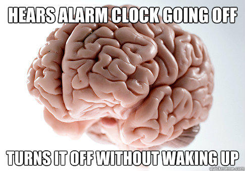 Hears alarm clock going off turns it off without waking up  Scumbag Brain