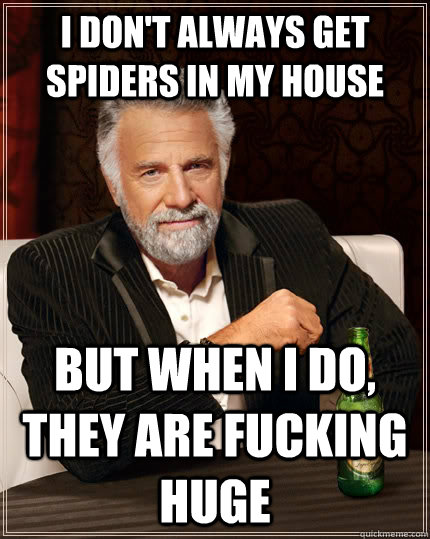 I don't always get spiders in my house but when I do, they are fucking HUGE  The Most Interesting Man In The World