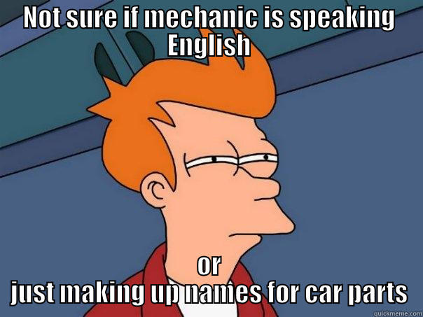 NOT SURE IF MECHANIC IS SPEAKING ENGLISH OR JUST MAKING UP NAMES FOR CAR PARTS Futurama Fry