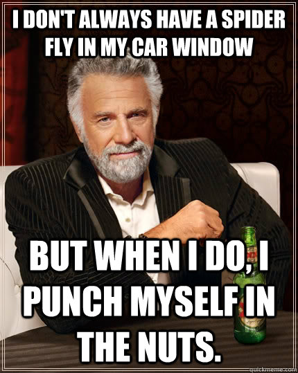 I don't always have a spider fly in my car window but when I do, I punch myself in the nuts. - I don't always have a spider fly in my car window but when I do, I punch myself in the nuts.  The Most Interesting Man In The World