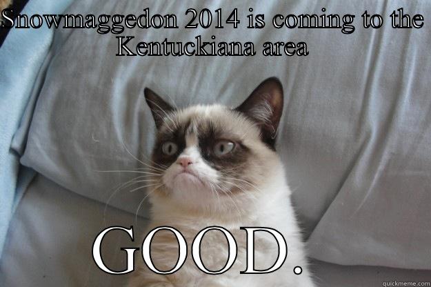 SNOWMAGGEDON 2014 IS COMING TO THE KENTUCKIANA AREA GOOD.  Grumpy Cat