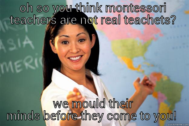 montessori teacher - OH SO YOU THINK MONTESSORI TEACHERS ARE NOT REAL TEACHETS? WE MOULD THEIR MINDS BEFORE THEY COME TO YOU!  Unhelpful High School Teacher