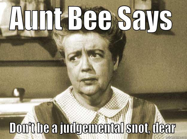 AUNT BEE SAYS DON'T BE A JUDGEMENTAL SNOT, DEAR Misc