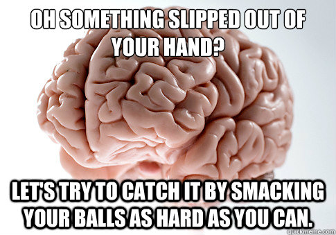 Oh something slipped out of your hand? Let's try to catch it by smacking your balls as hard as you can.  Scumbag Brain