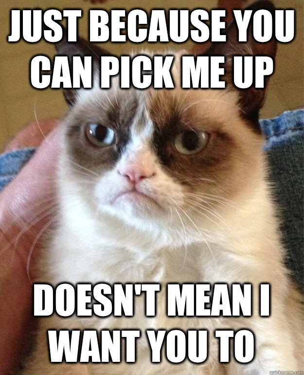 Just because you can pick me up Doesn't mean I want you to - Just because you can pick me up Doesn't mean I want you to  Grumpy Cat