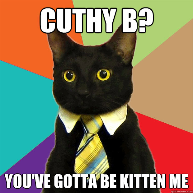 CUTHY B? You've gotta be kitten me  Business Cat