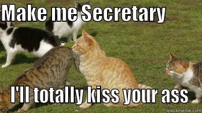 I'll Kiss Your Ass - MAKE ME SECRETARY           I'LL TOTALLY KISS YOUR ASS Misc