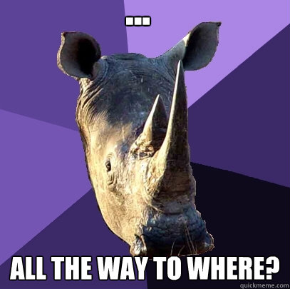 ... All the way to where?  Sexually Oblivious Rhino