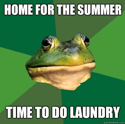 Home for the summer Time to do laundry - Home for the summer Time to do laundry  Foul Bachelor Frog