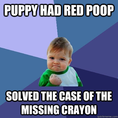 Puppy had red poop Solved the case of the missing crayon  Success Kid