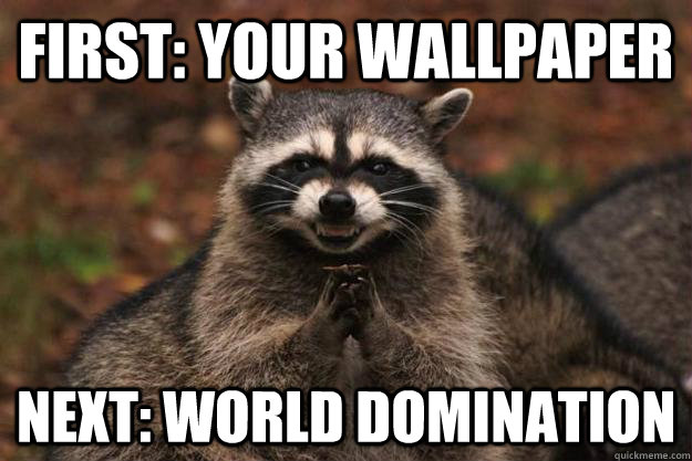 First: your wallpaper next: world domination  Evil Plotting Raccoon