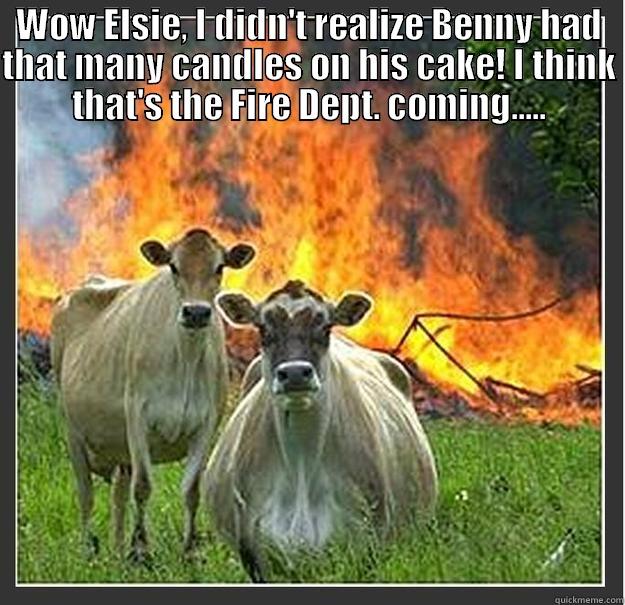 WOW ELSIE, I DIDN'T REALIZE BENNY HAD THAT MANY CANDLES ON HIS CAKE! I THINK THAT'S THE FIRE DEPT. COMING.....  Evil cows